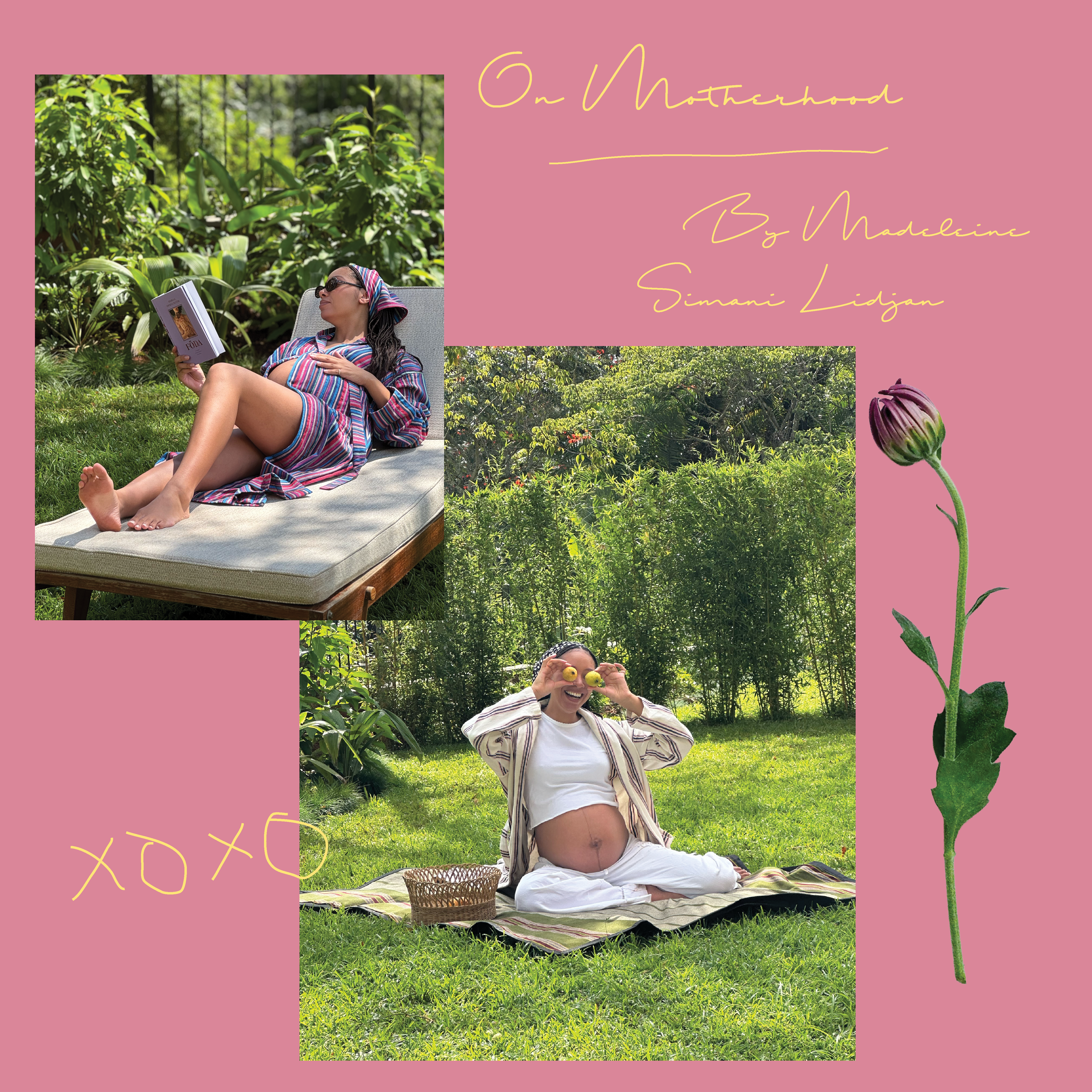 On Slowing Down for Motherhood: A Season of Ripeness
